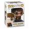 Harry Potter POP! Vynil - Harry Potter /w Hedwig