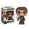 Harry Potter POP! Vynil - Harry Potter /w Hedwig