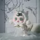 Skullpanda Everyday Wonderland Series Blind Box (Single)